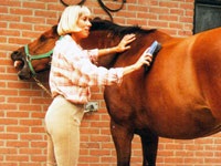 tisztító technikák - minden a lovakról