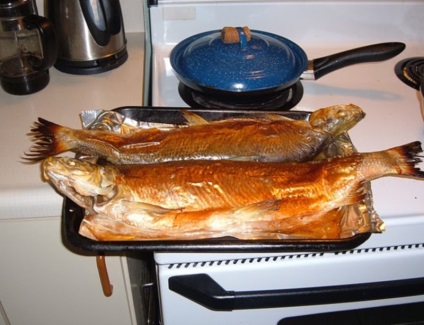 Receptek fehérjék (Whitefish)