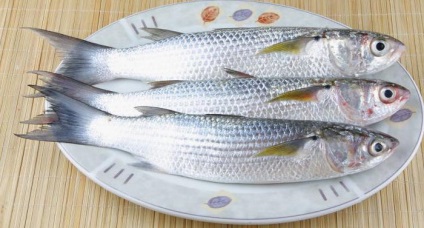 Horgászat a Azovi-tenger, funkciók, érdekes tényeket és ajánlások