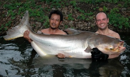 Риби Таїланду фото, середовище проживання і рибалка