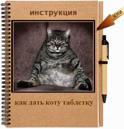 Vicces macskák - képek, viccek (megromlott karma) Vicces macskák - képek, szórakozás