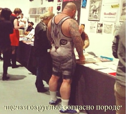 Vicces macskák - képek, viccek (megromlott karma) Vicces macskák - képek, szórakozás