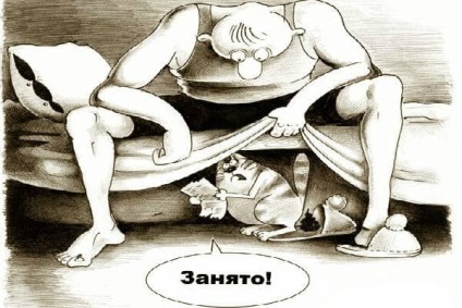 Vicces macskák - képek, viccek (megromlott karma) Vicces macskák - képek, szórakozás