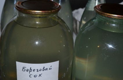 Gyűjtésére és tárolására a téli nyírfa nedve (a raktárból) Gyűjtjük és tároljuk a téli nyírfa nedv