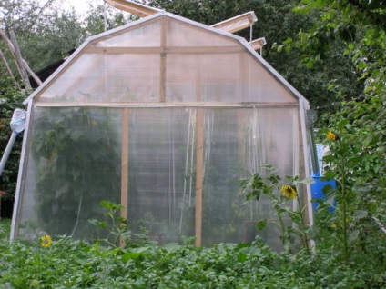 Összeegyeztethetősége zöldségek üvegházban