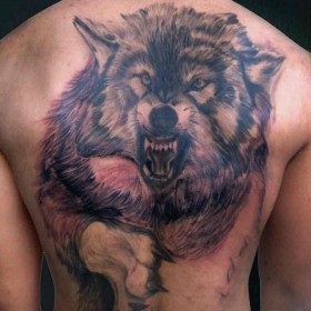 Farkasok tetoválás értelmében - a szó egy szimbólum, a lányok és fiúk
