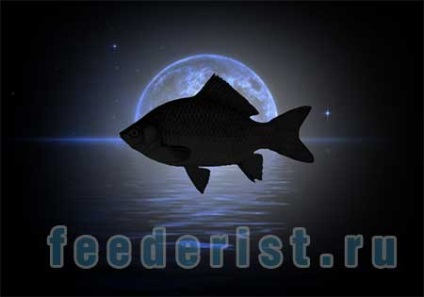 Befolyásolja a holdfázisok a csípős és az elmélet a „Thesszaloniki” - halászat a feeder