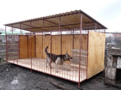Madárház kutyák építeni ház az állat a kezüket