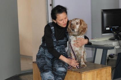 Farkú „munkát, vagy hogy miért kutya kell a vám - Work - Hírek Blagovescsenszki, Amur