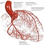Aorta elégtelenség okoz, tünetek és a kezelés