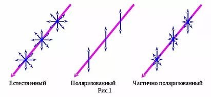 Чим відрізняється поляризоване світло від природного