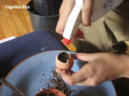 Virágok a tojás eggling! Mindent a virágok és kertészeti (tojás) Virágok a tojás eggling! Mindent a virágok és kertészeti