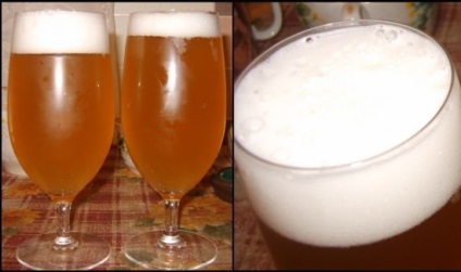 Házi sör multivarka - részletes lépésről lépésre recept