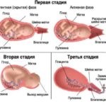 Ergometrin használati utasítást, ár, vélemények és analógok