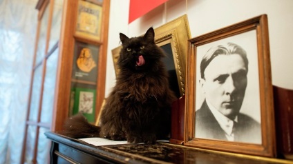 Moszkva fő macska - behemót „Bulgakov-ház” - fotó - RIAMA