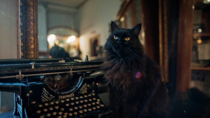Moszkva fő macska - behemót „Bulgakov-ház” - fotó - RIAMA