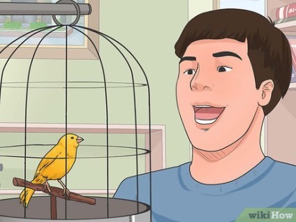 Hogyan lehet megtanulni kommunikálni az állatokkal