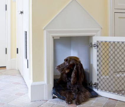 Hogyan felszerelni a haza egy kutya, mint 9 standok - magazin