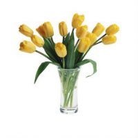 Hogyan kell helyesen gondozása vágott tulipán a vázában