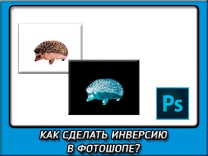 Hogyan készítsünk egy inverziós Photoshop, és miért ez általában szükséges