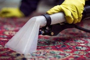 Hogyan távolítsa el a szaga a kutya vizeletet a szőnyeg és a módszert heverő 3 és 9 eszközökkel