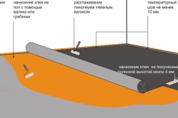 Hogyan válasszuk ki a linóleum hálószoba kritériumok tippeket (fotó és videó)