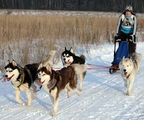 Hová menjünk januárban (ahol) Hová menjünk januárban