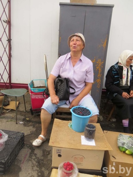 Mogilev szezonban kezdett gyűjteni és betakarítása áfonya, de a bogyók nem siet, hogy az áfonya