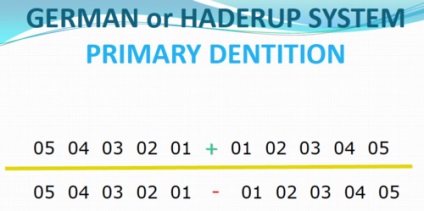fogak számozási rendszer a fogászatban, és jelzik a különböző rendszerek
