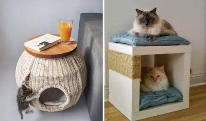 Építése helyiség az állat a lakásban