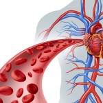 Tüdőfibrózis - a várható élettartam, okok, kezelés, eredmény