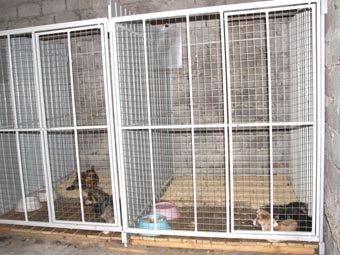 Kennel nyitott