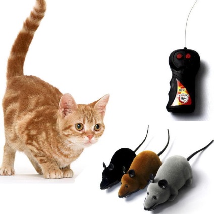 10 Gadgets háziállatoknak