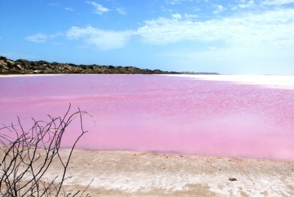 8 Fabulous „pink” tavak bolygónk