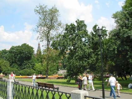 Alexandrovsky Garden - park közelében, a Kreml