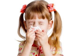 Allergia a dió tünetek és kezelés - dió, fenyő és egyéb
