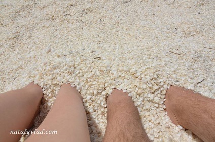Ausztrália Shell Beach, natalyvlad blog