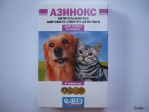 Azinoks (tabletta) kutyáknak és macskáknak, véleménye a kábítószer-használat az állatok az állatorvosok és a