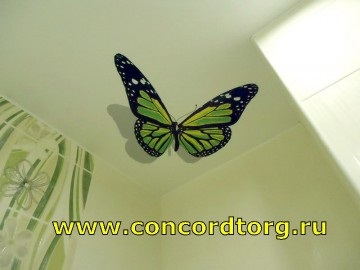 Pillangók a feszültség mennyezet - több mint 480 kép nyomtatás, Concord (St. Petersburg)