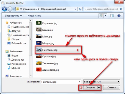 Ingyenes e-mail program Thunderbird muff (program) Ingyenes e-mail program Thunderbird muff