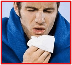 Légzőszervi betegségek