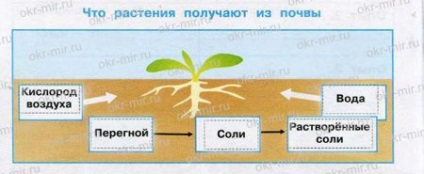 Milyen talaj (Pleshakov, munkafüzet 3. fokozatú 1 rész)