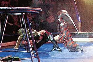 Circus tragédia, mint az állatok megcsonkít oktatók - a forrása a jó hangulat