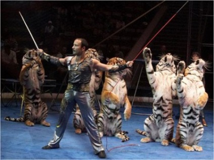 Circus tragédia, mint az állatok megcsonkít oktatók - a forrása a jó hangulat