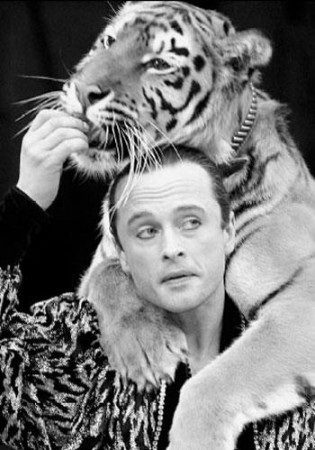 Circus tragédia, mint az állatok megcsonkít oktatók - a forrása a jó hangulat (a legtöbb) Circus tragédia, mint az állatok megcsonkít oktatók - a forrása a jó hangulat
