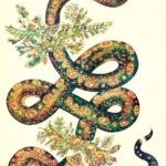 Vázlatok tetoválás kígyó • eszmék és értékek tetoválás kígyók