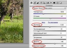 A képfájl formátum (képfájl formátum) Képfájlformátum
