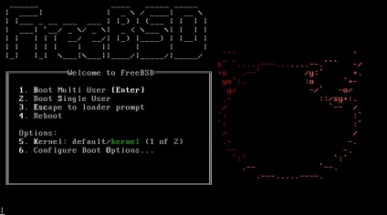 Freebsd vs OpenBSD, losst