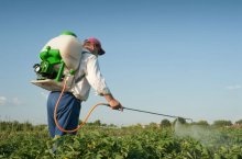 Herbicid „Roundup” használati utasítást és a hatékonyság növelése tippek (útmutató) Herbicid „Roundup” használati utasítást és a hatékonyság növelése tippek