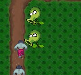 Játék Plants vs Zombies Online - ingyenesen a számítógépen